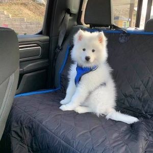 Meet your Posher, Joanne